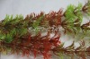 Wholesale Artificial decoration water plants