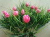 Wholesale artificial tulip plant