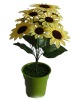 Wholesale Artificial Flower