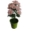 Wholesale Artificial Mum (Silk and Fabric)