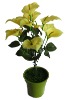 Wholesale Artificial Flower