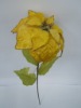 Wholesale single poinsettia artificial flower