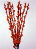 Wholesale Natural Flowers Artificial Dry Flower YX