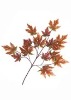 Wholesale Artificial Leaves