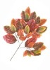 Wholesale Artificial Leaves