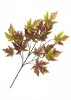 Wholesale Artificial Leaves