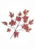 Wholesale Artificial Leaves