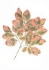Wholesale Artificial Leaves