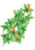 Wholesale Artificial Leaves