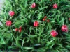 Wholesale artificial iris grass
