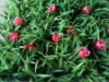 Wholesale artificial lisianthus