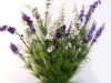 Wholesale hand-made flower
