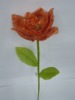 Wholesale single magnolia flower