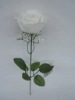 Wholesale silk flower
