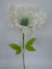 Wholesale single penoy flower