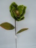 Wholesale single Kapok flower