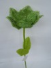 Wholesale single magnolia flower
