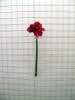 Wholesale silk flower