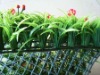 Wholesale plastic red iris grass