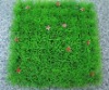 Wholesale decoration antirrhinum majus
