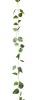 Wholesale Maple leaves