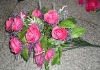 Wholesale silk flower-artificial plant-plastic flower