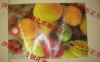 kitchenware