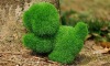 Wholesale Artificial grass dog