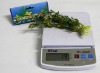 Wholesale Artificial cute water grass