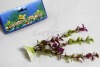 Wholesale 17-20cm Artificial aquarium grass