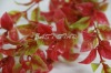 Wholesale 40 cm artificial latest water grass