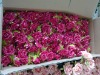 Wholesale silk rose