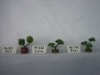 Wholesale miniascape