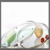 Wholesale glass lid
