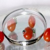 Wholesale glass lid