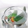 Wholesale glass lid
