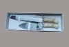 Wholesale Cake Server and knife