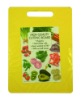 Plastic Cutting Board 21.5x29.5cm - A04574