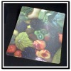 Wholesale PP cutting board