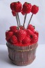 Wholesale Resin Fruit Fork
