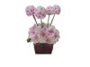 Wholesale Fruit Fork