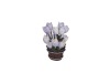 Wholesale Pocerlain Fruit Fork