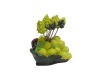 Wholesale Fruit Fork