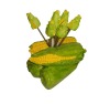 Fruit Fork