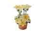 Wholesale Fruit Fork