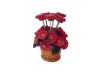 Wholesale Fruit Fork