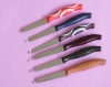 fruit knife set