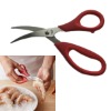 kitchen scissors