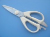 kitchen scissors