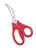 bird's beak shears